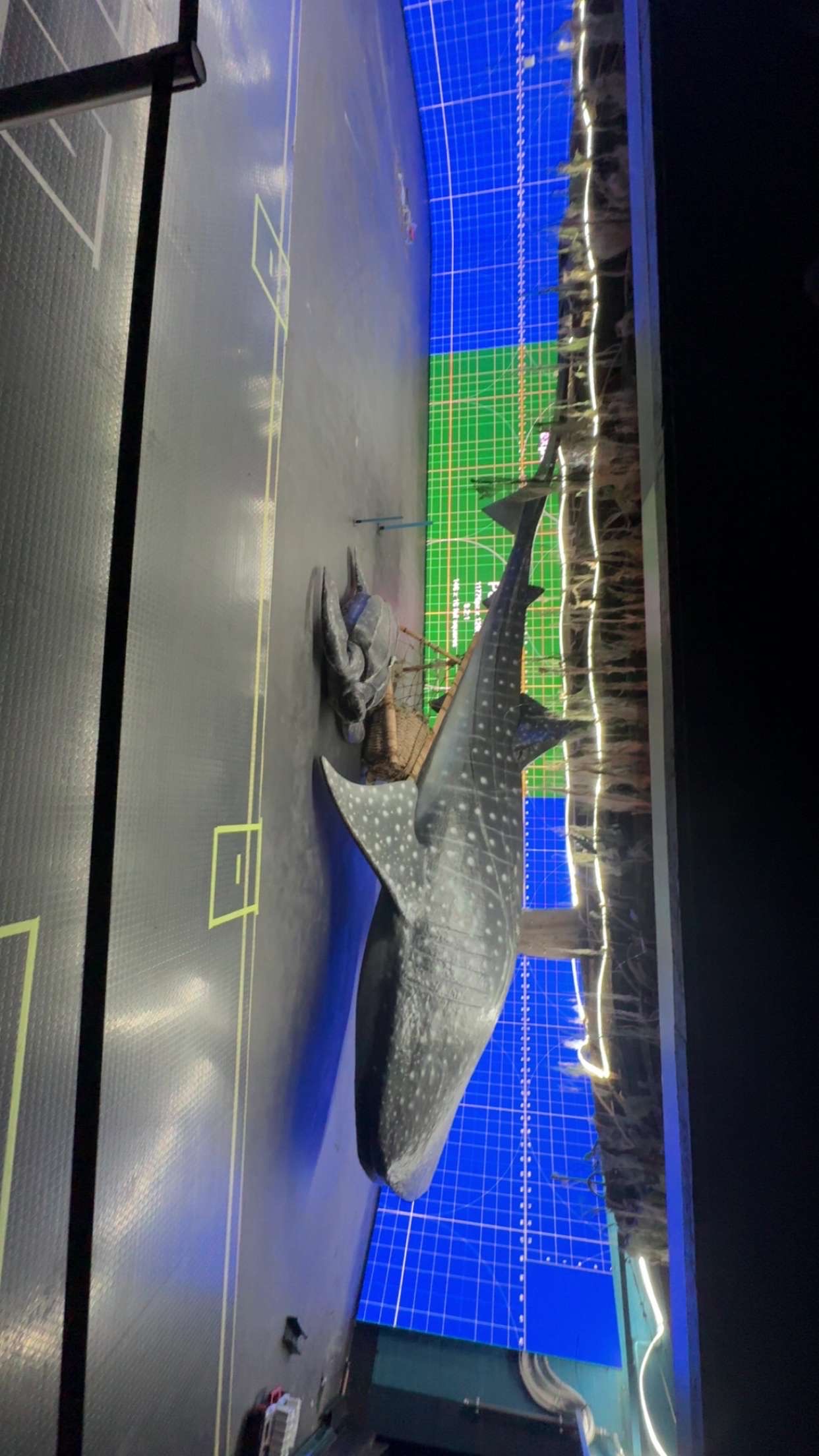 installasjon av led skjerm på museum