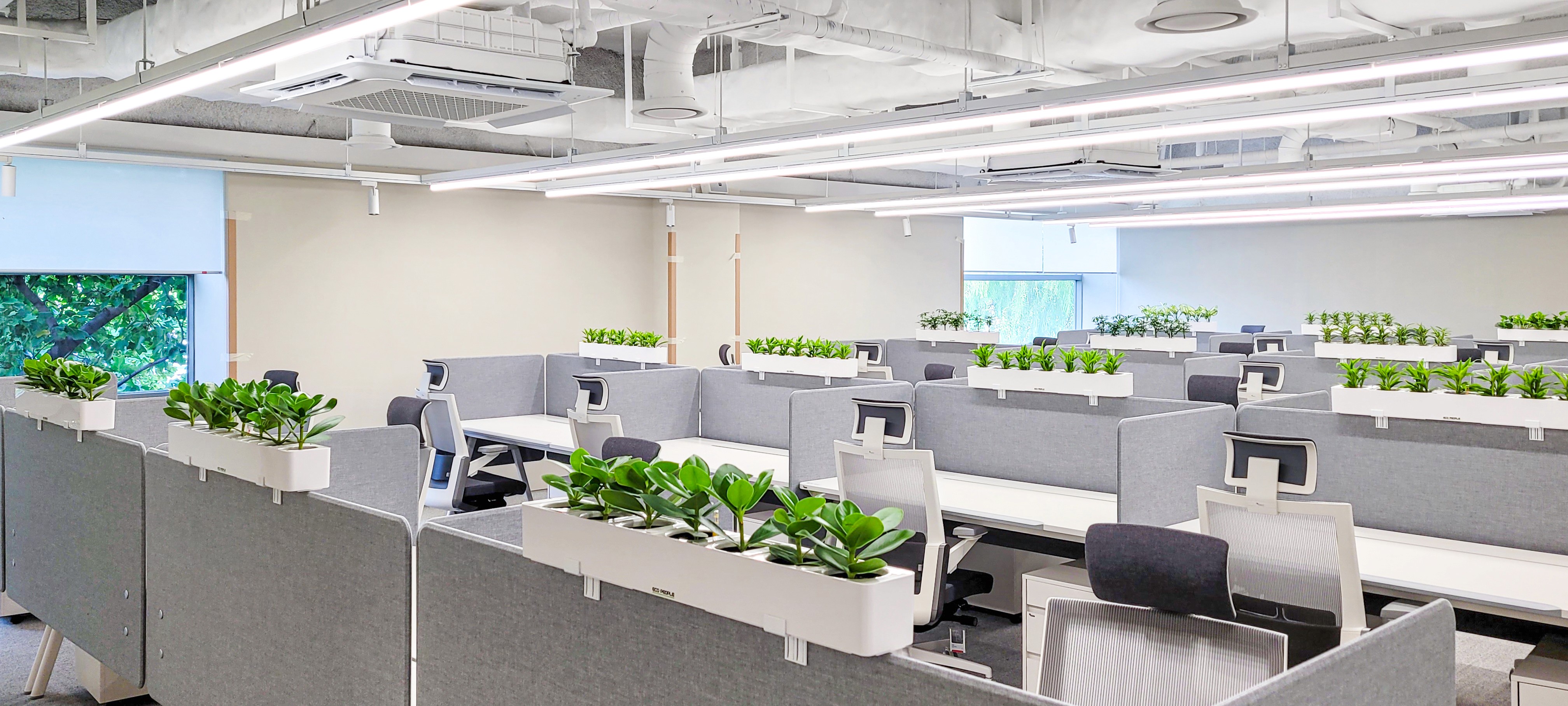 에코팟을 적용한 플랜테리어 인테리어를 적용한 후의 사무실 모습이다