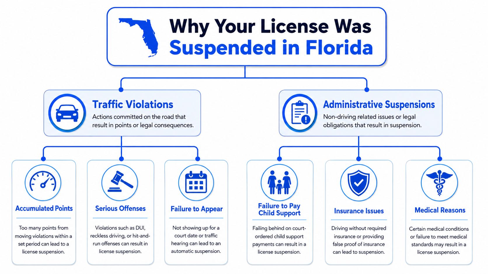 A flowchart detailing common reasons for driver license suspension in Florida, including traffic violations and administrative issues.