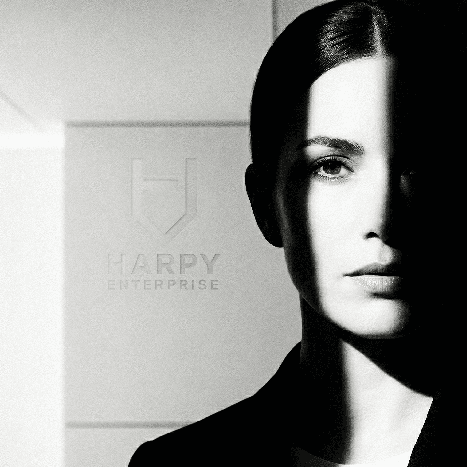 Influence architecture in Latin American procurement markets