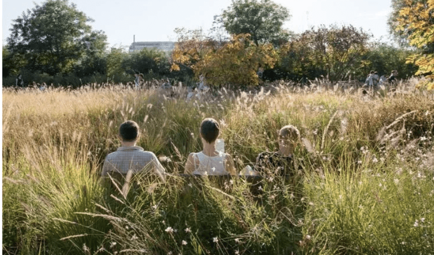 Three people sit on a bench surrounded by tall grasses in a sunny, naturalistic park setting.