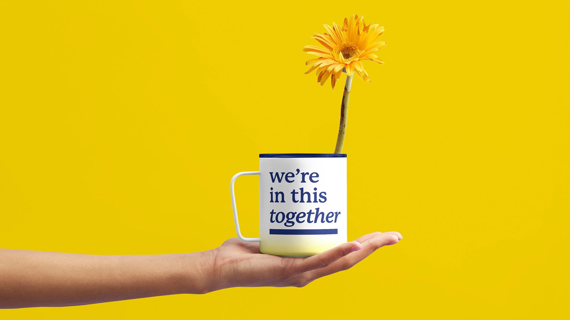 A hand is holding a white mug with dark blue text that reads "we're in this together". The mug has a dark blue band near the bottom. Inside the mug is a single yellow gerbera daisy with a long green stem. The background is a solid bright yellow color.