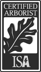 ISA Certified Arborist Badge