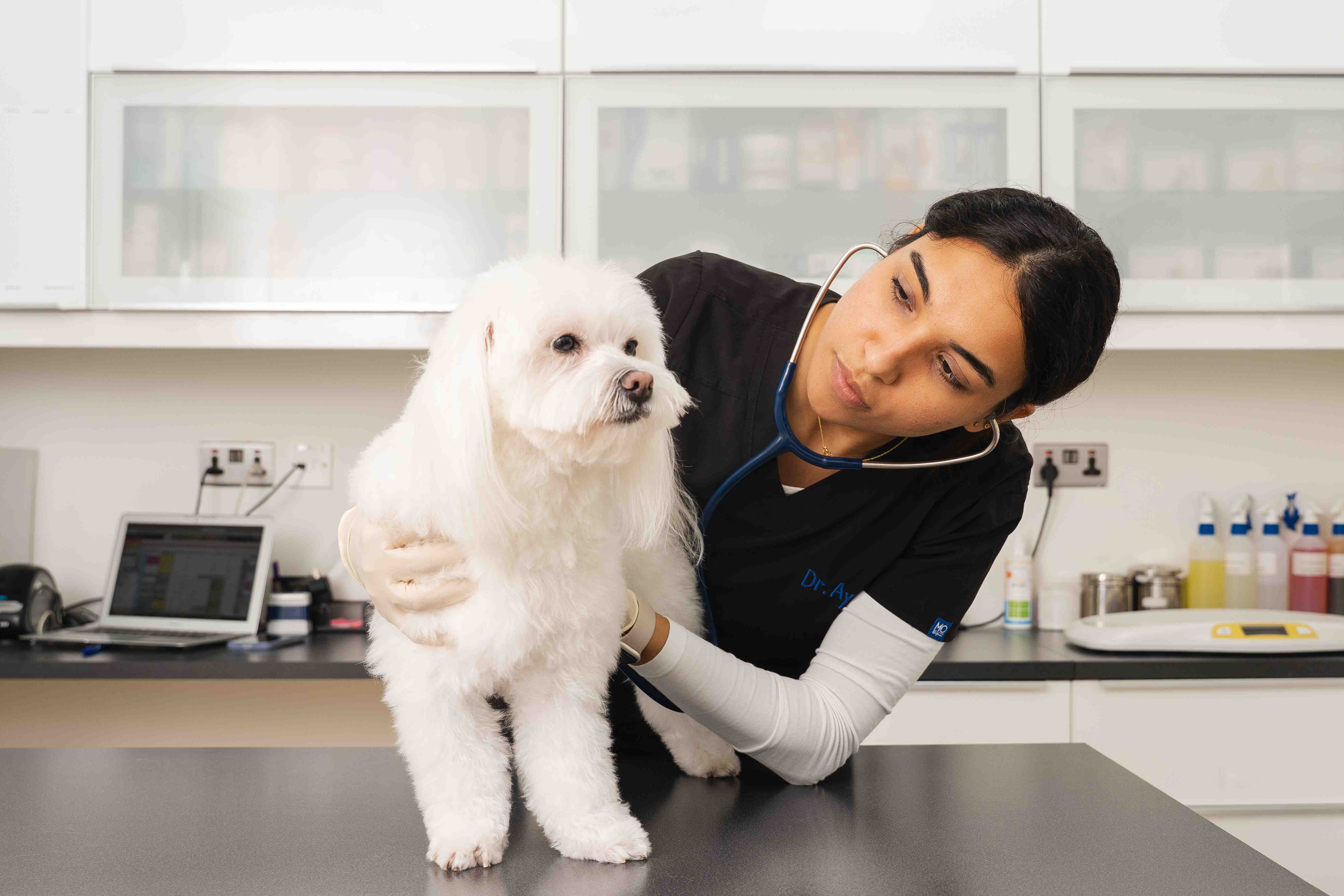 The exterior of our Noble Vet JLT clinic at Jumeirah Lake Towers, Dubai
