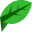 LetterLeaf logo