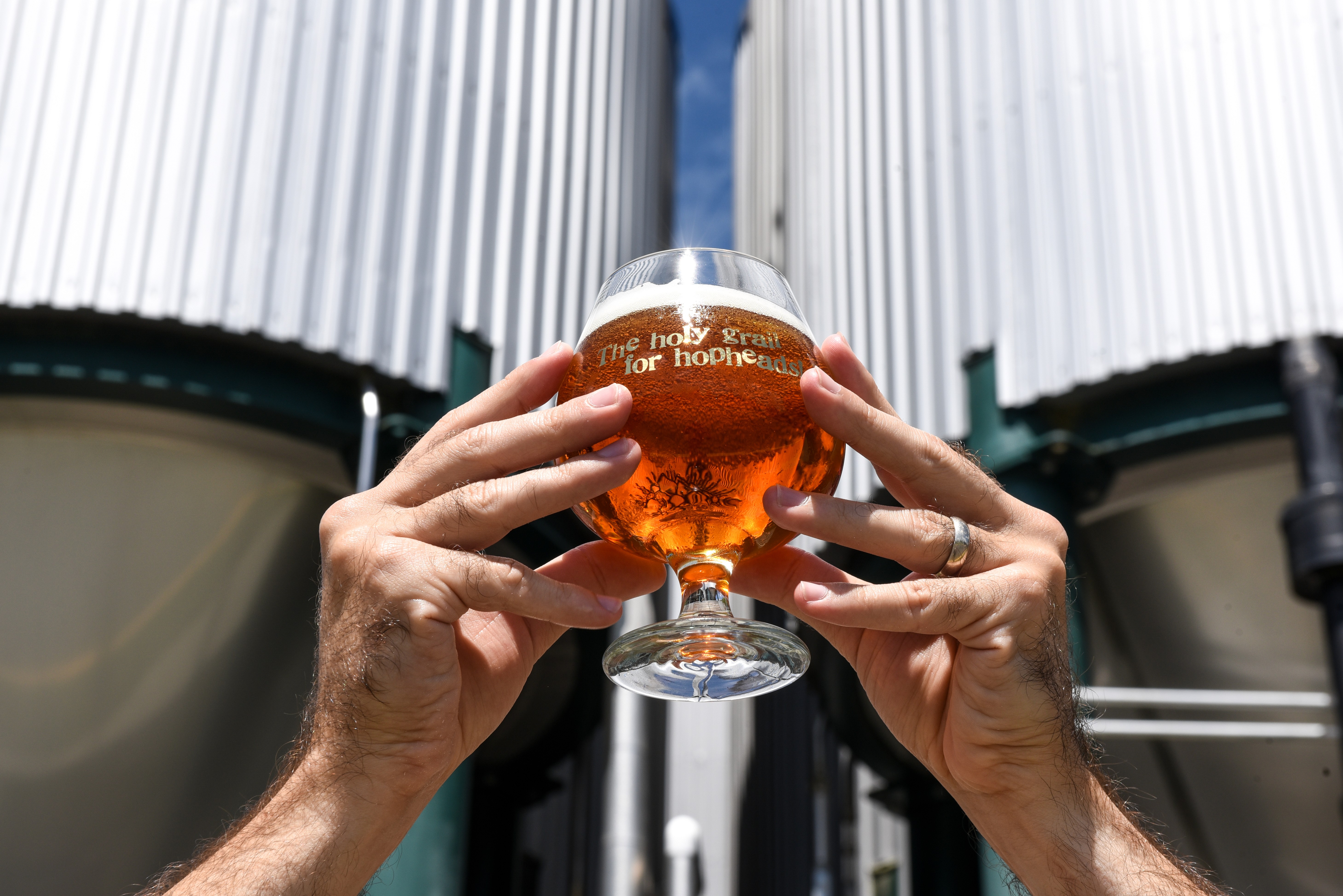 Product photography of a craft beer lifted in front of steel tanks. The final beer has been poured into a shaped glass showcasing a golden liquid. 