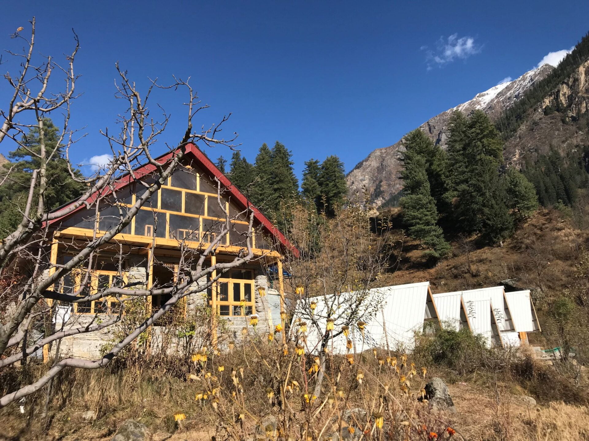 The communal heart: The main lodge features an expansive timber-framed glass facade and a vibrant red roof, serving as the central gathering space for the resort.