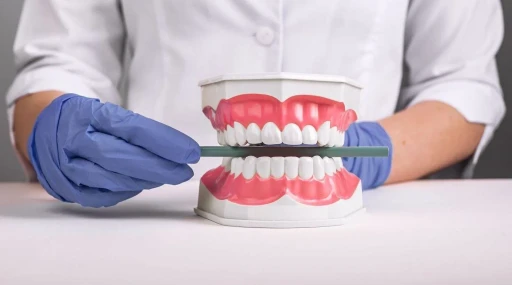 Tudo sobre oclusão dentária!