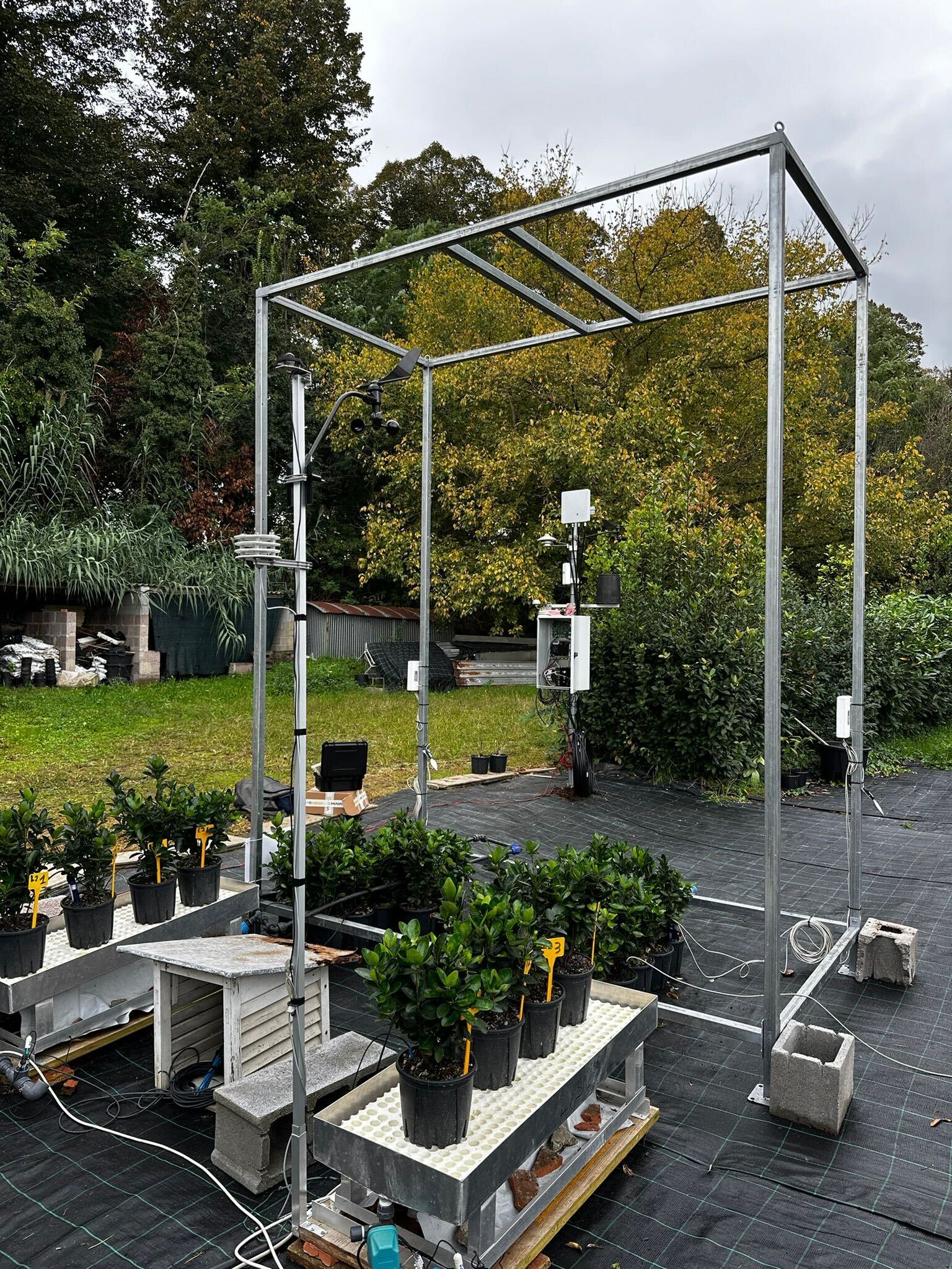 Solution Section Image