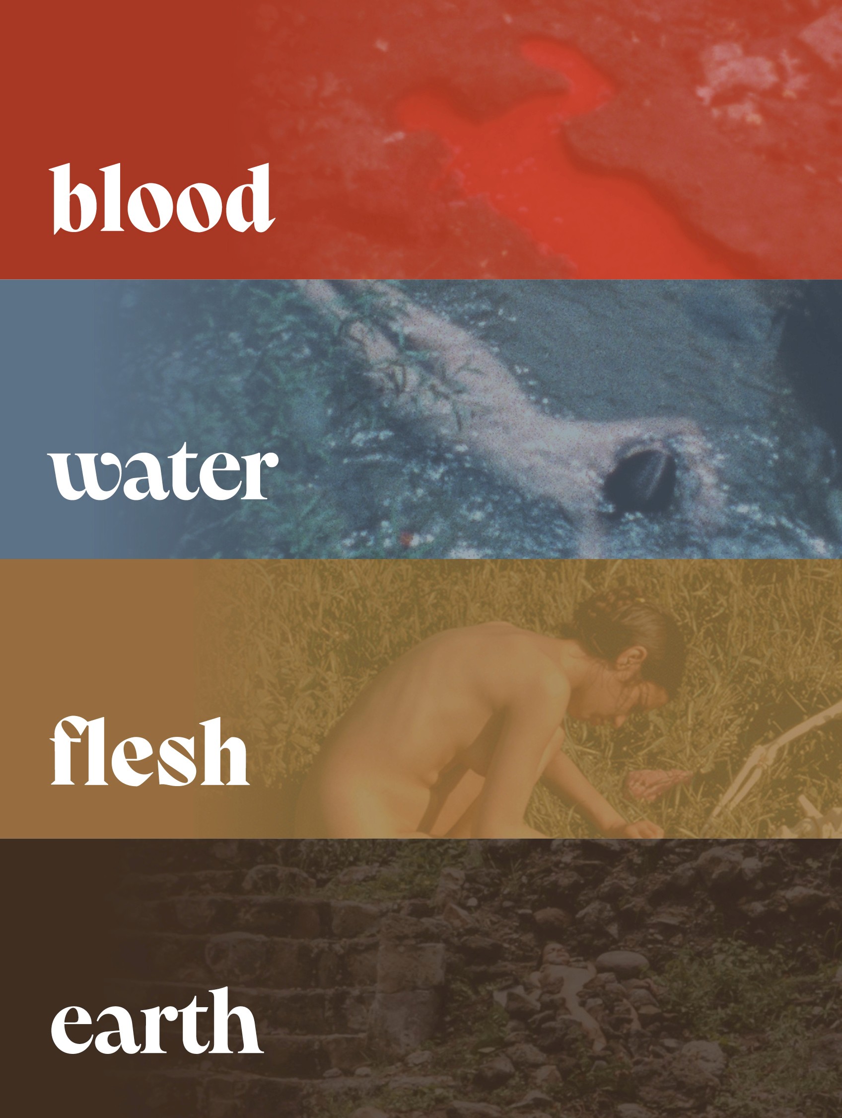 Book color palette based on natural and bodily elements.