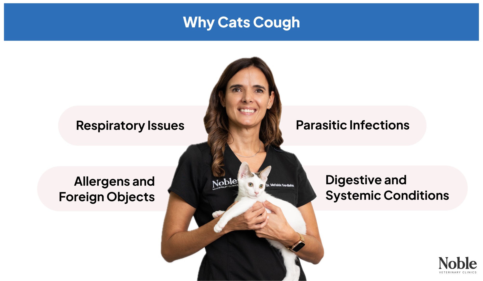 An infographic featuring a vet holding a white cat, showing the reasons why cats cough.