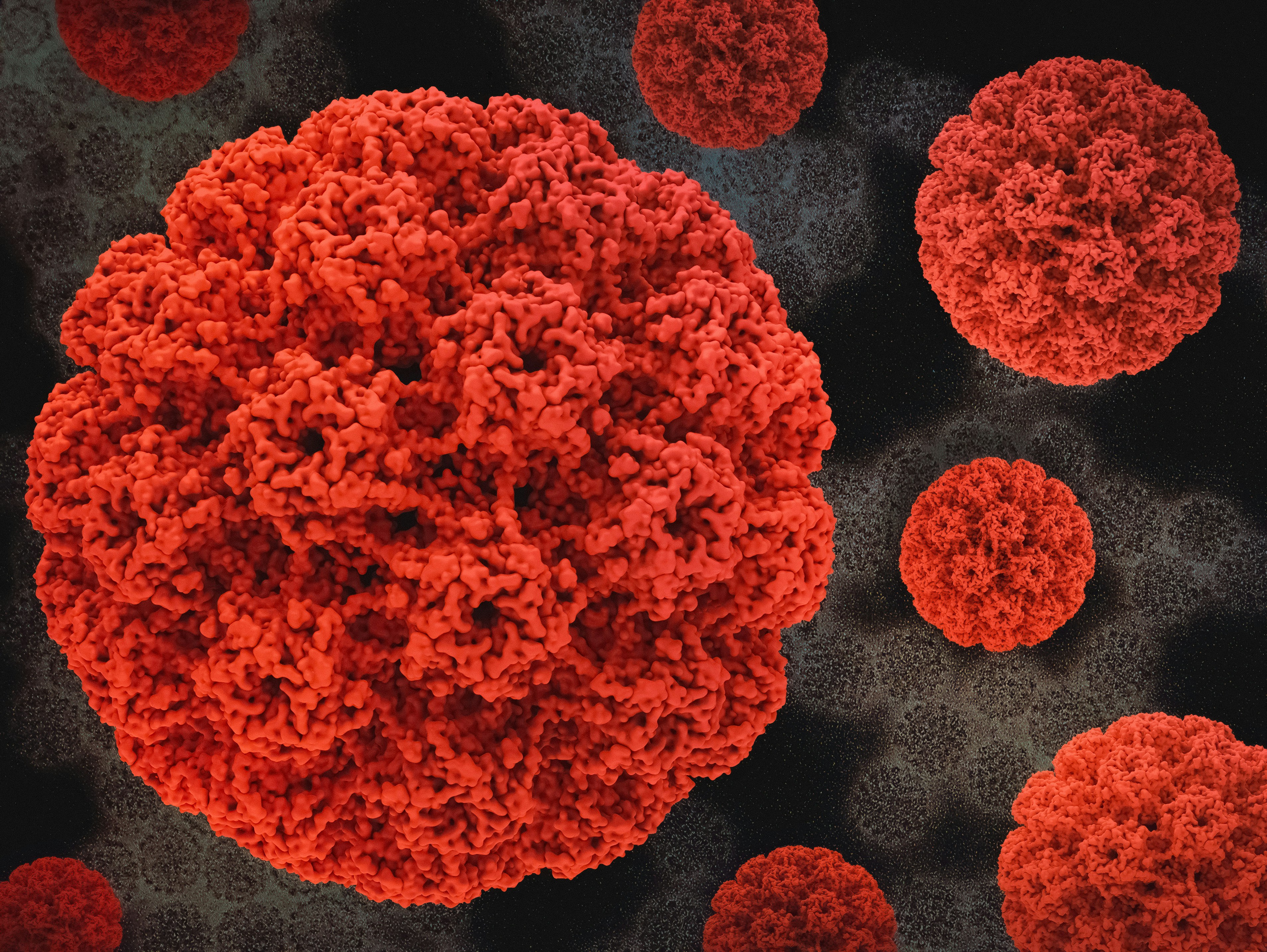 a close up of a red substance on a black background