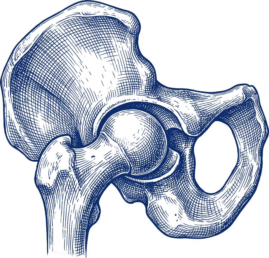 torus abstract object