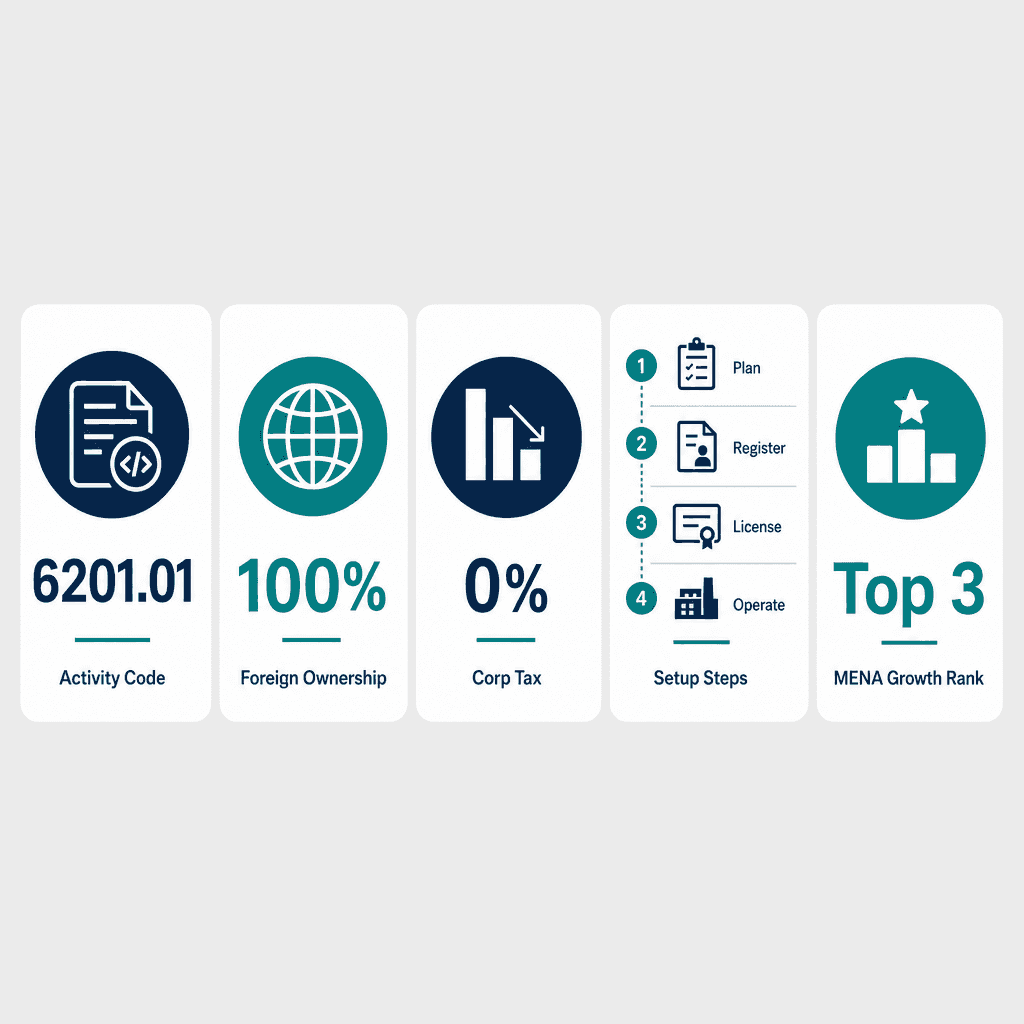 Infographic: Custom Software Development Business License in Dubai
