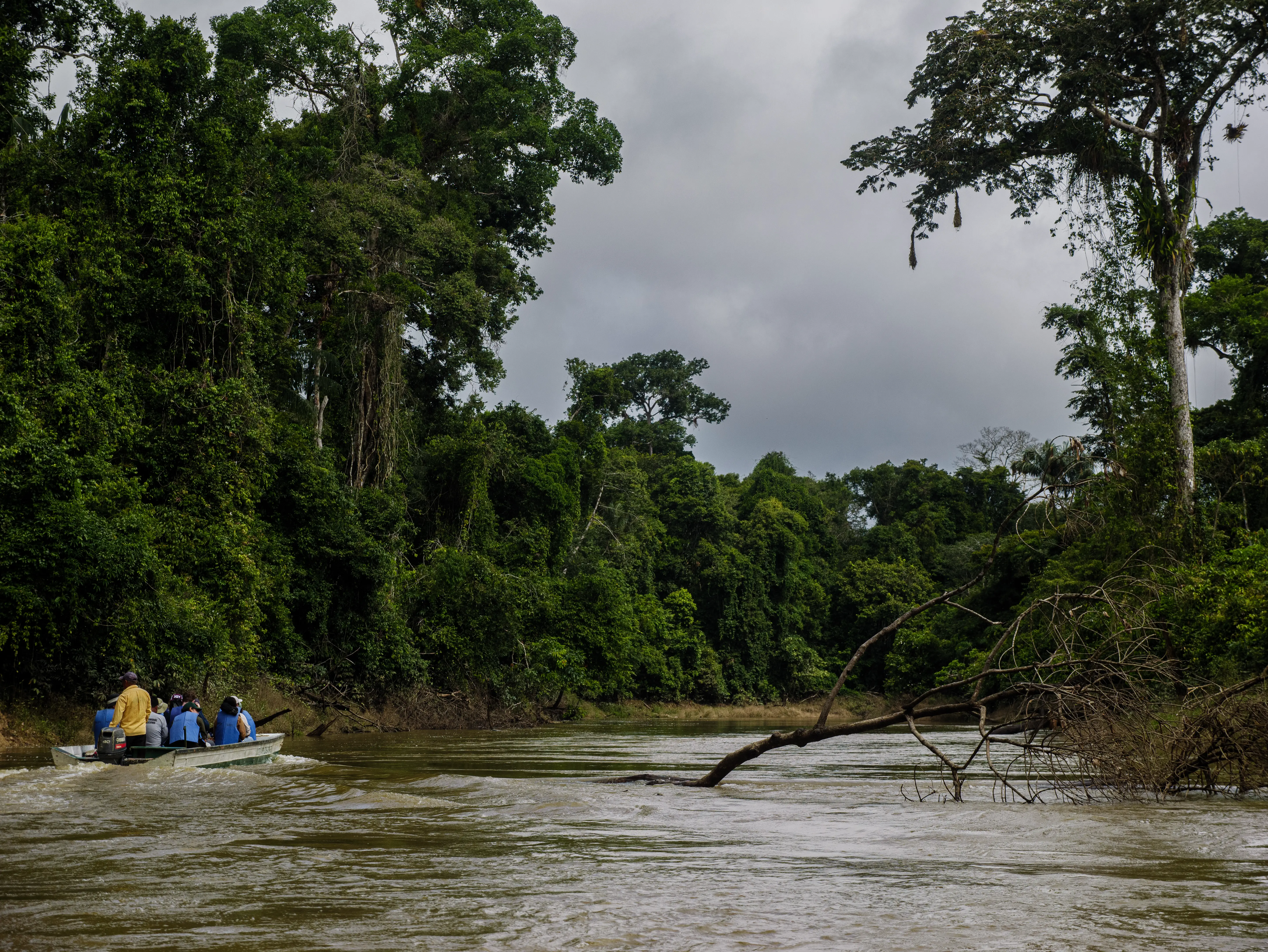 landscape photography of mountain hit by sun rays