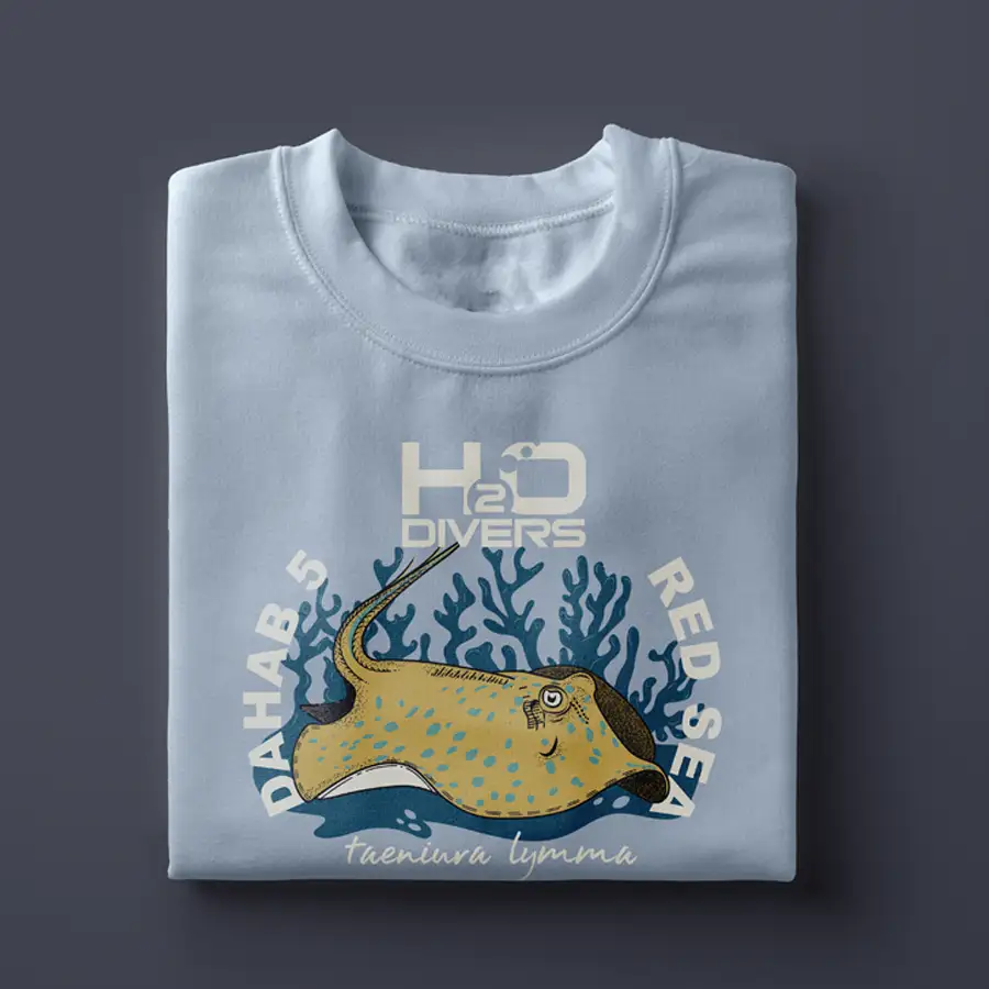 Grey tshirt depicting a ray from the Dahab 5 campaign
