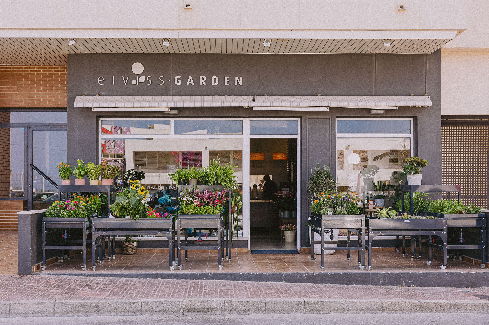 Eiviss Garden Florist San Antonio