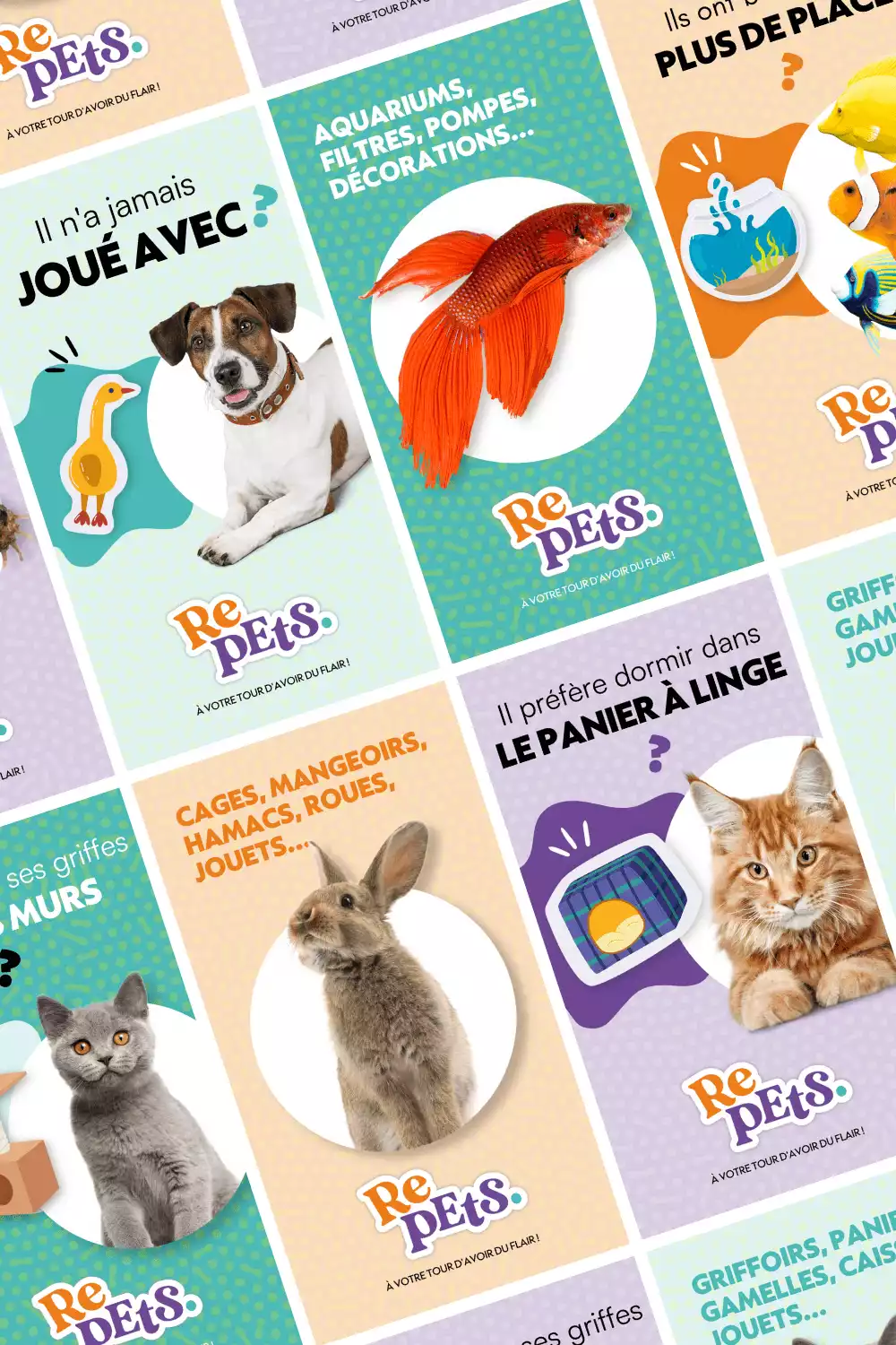 Social Ads pour Repets, plateforme de seconde main dédiée aux animaux de compagnie