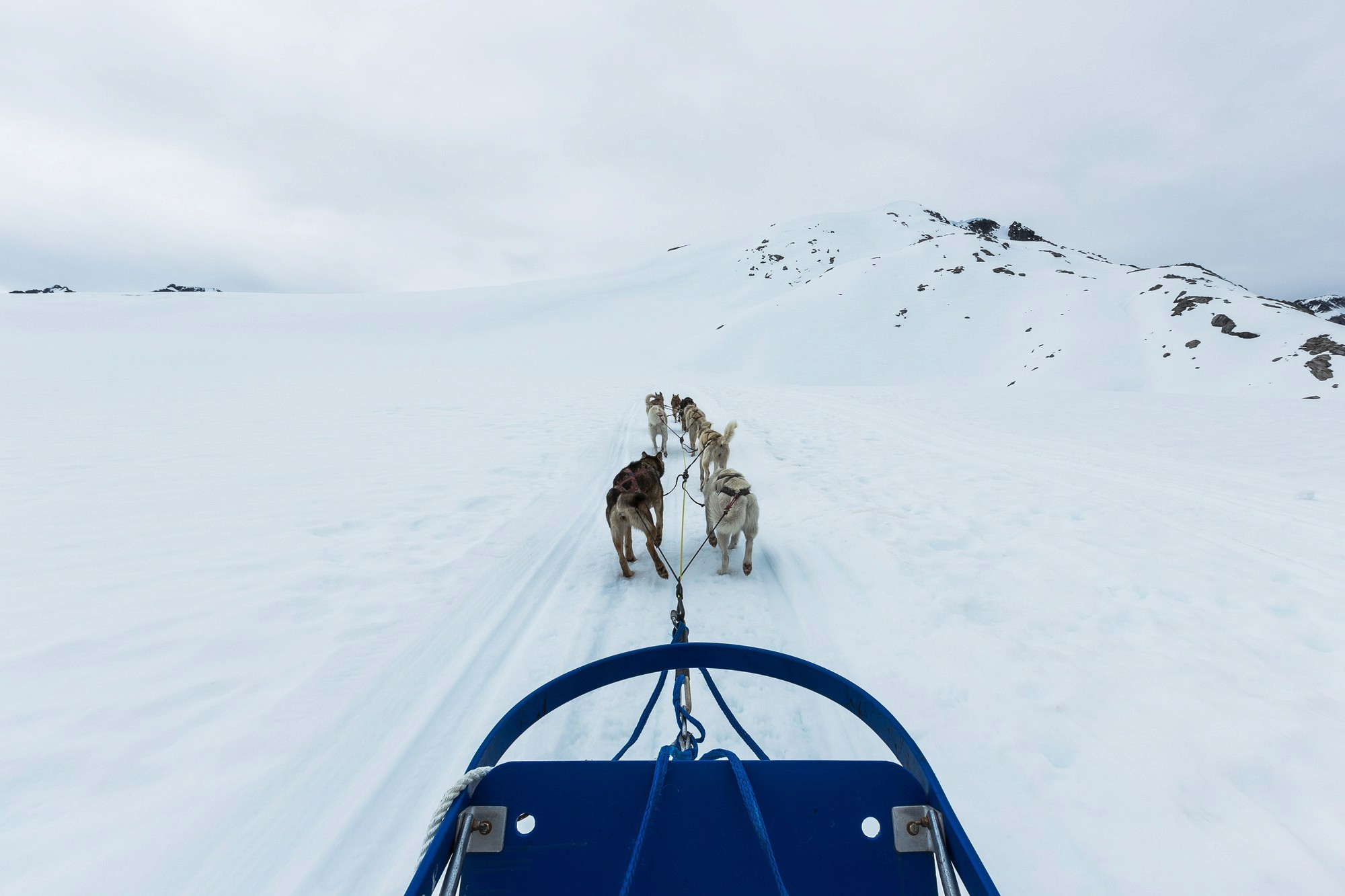 Polar