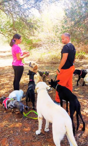 Man sitting on sofa with two dogs