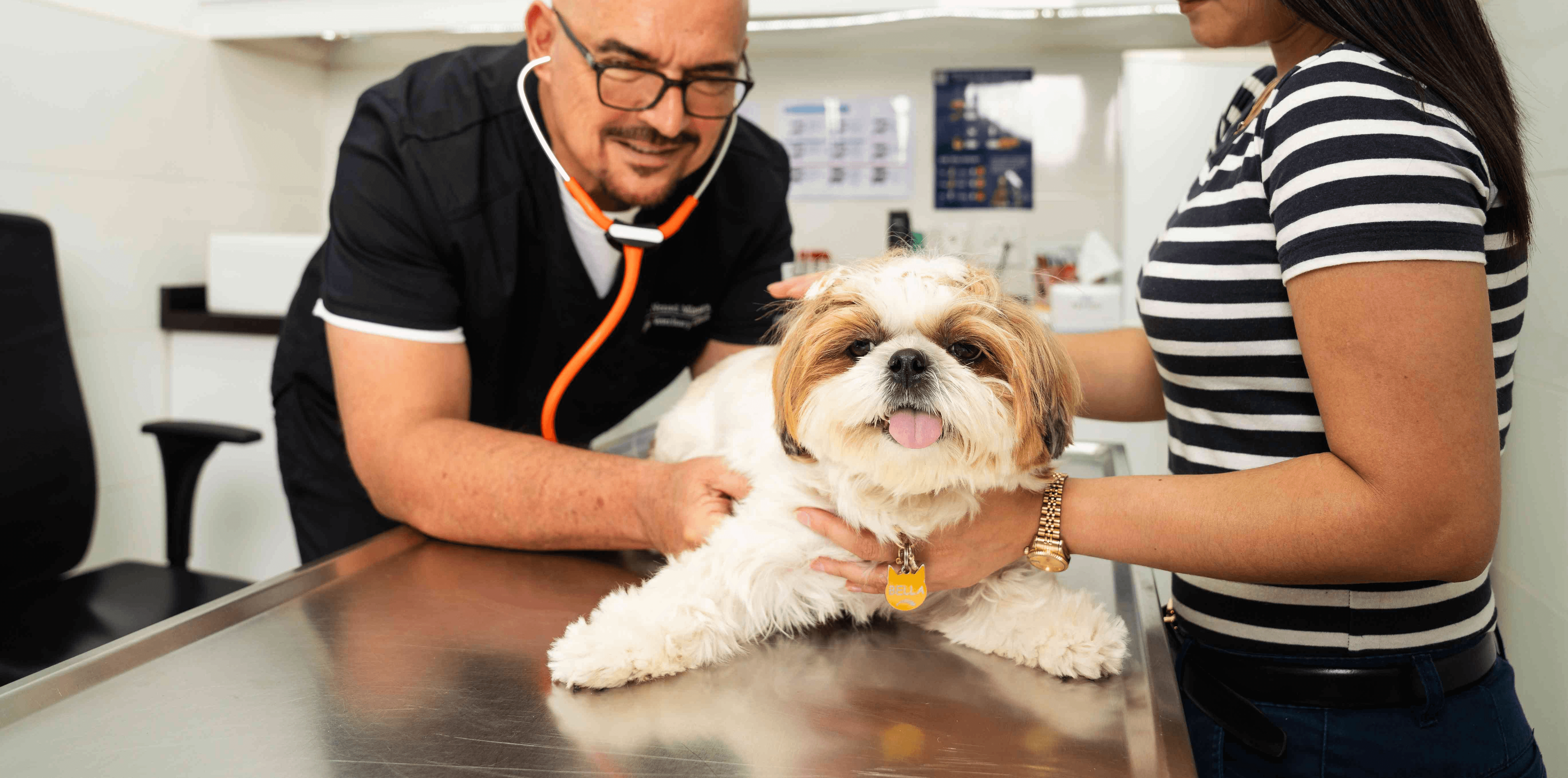 Vaccination for pet