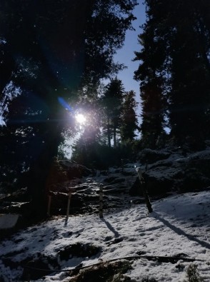 Blue Image