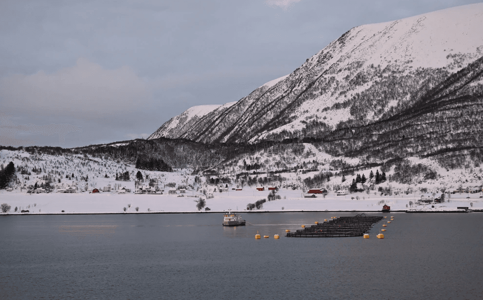 Bridge console with integrated marine electronics