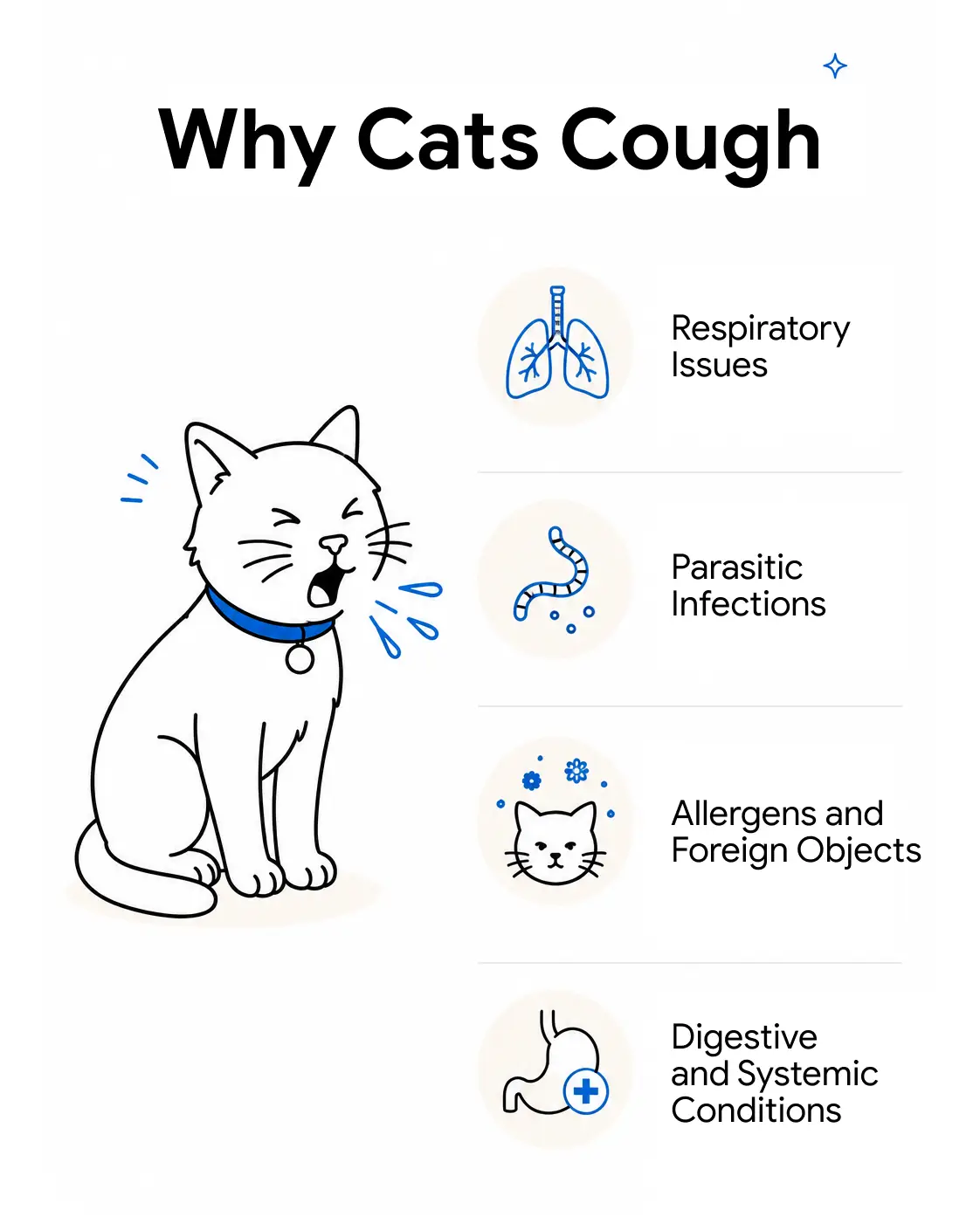 An infographic featuring a vet holding a white cat, showing the reasons why cats cough.