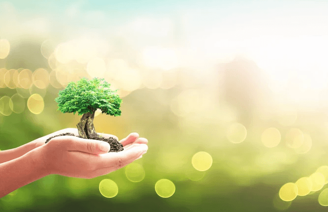 Foundational Environmental Laws