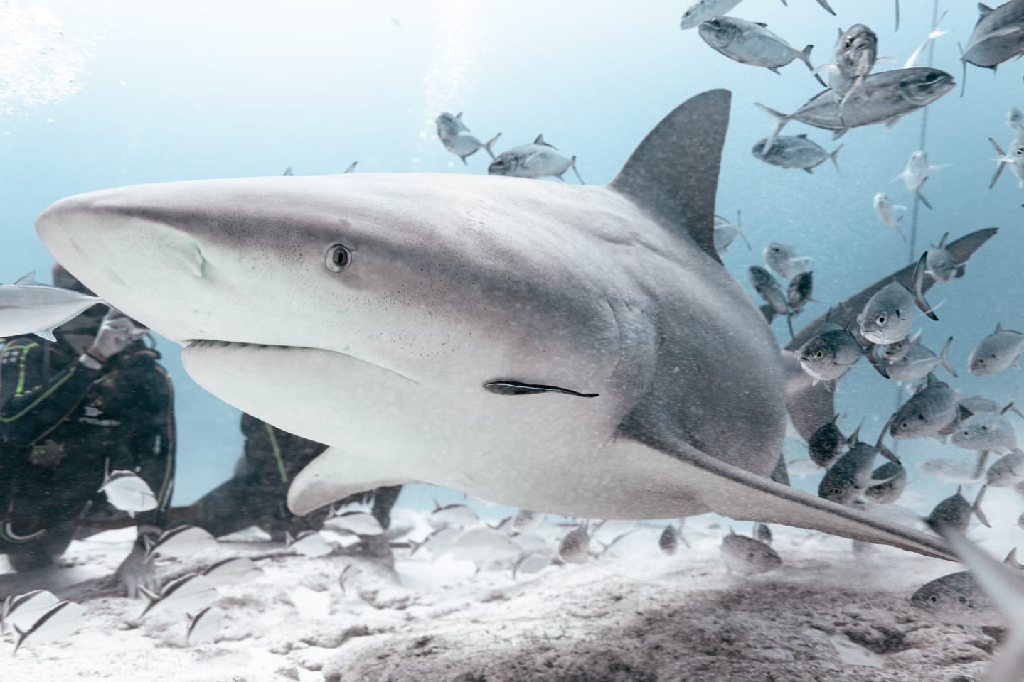 Coach explaining stuff to an athlete