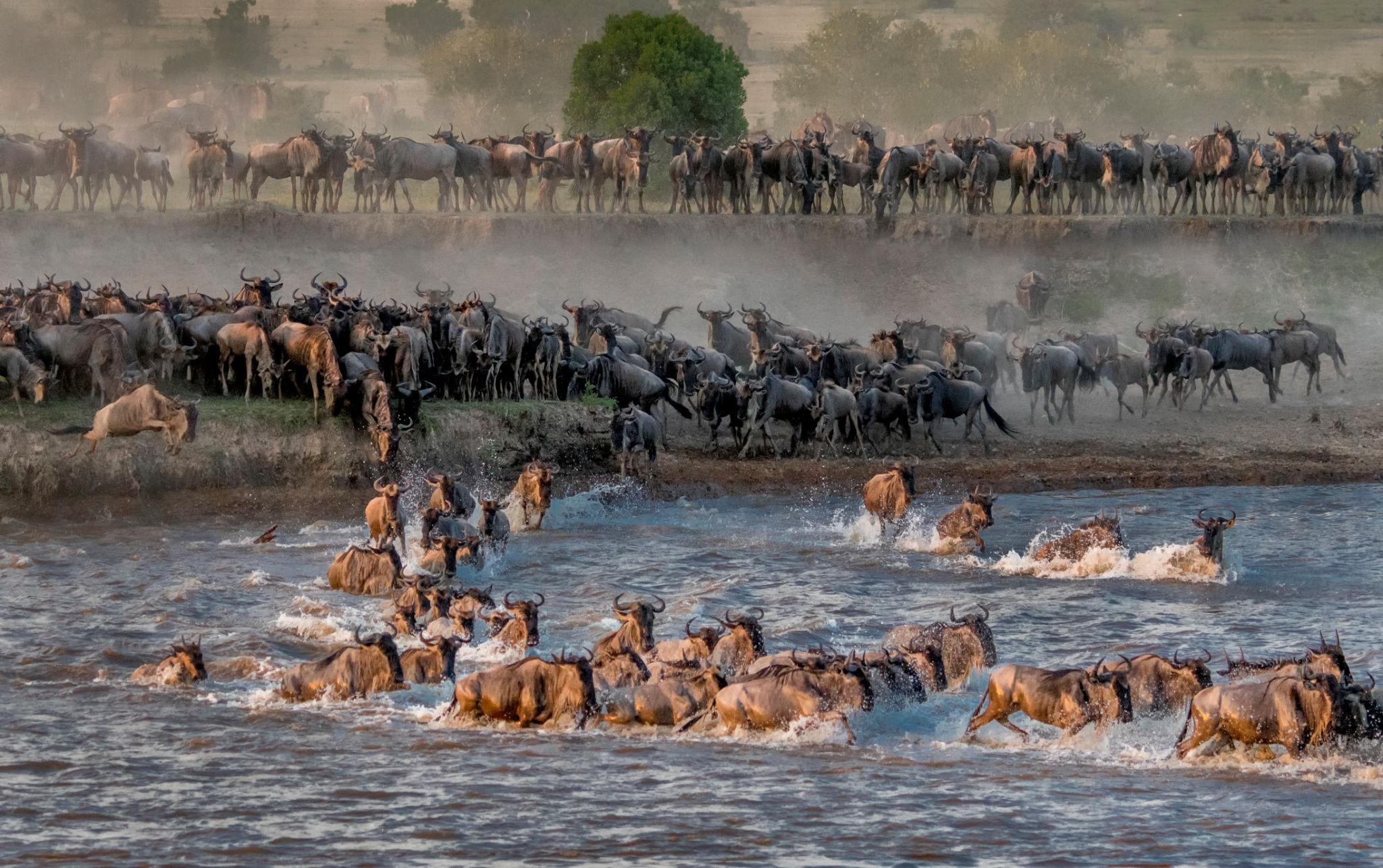 Great Migration