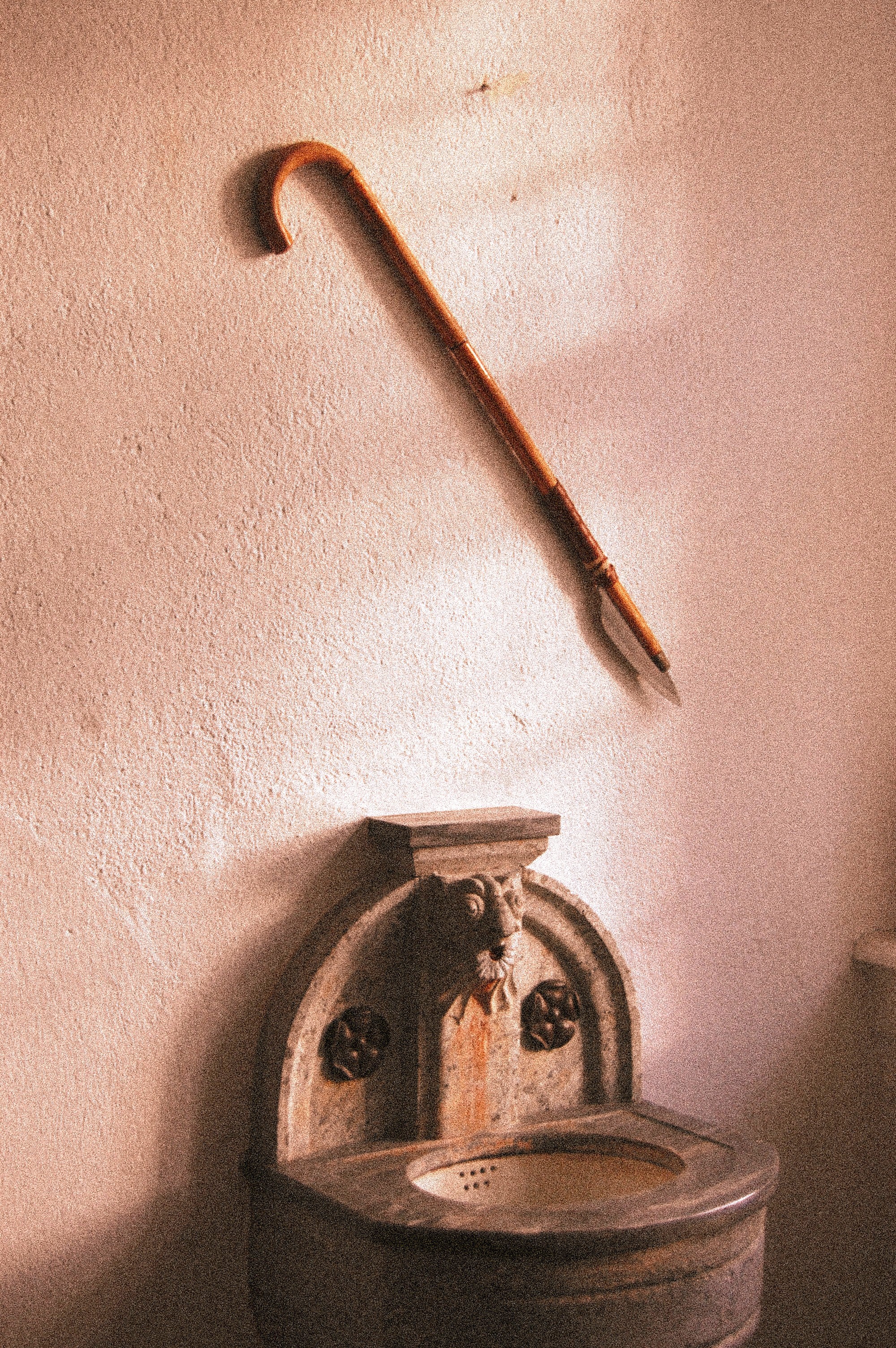 portrait photography