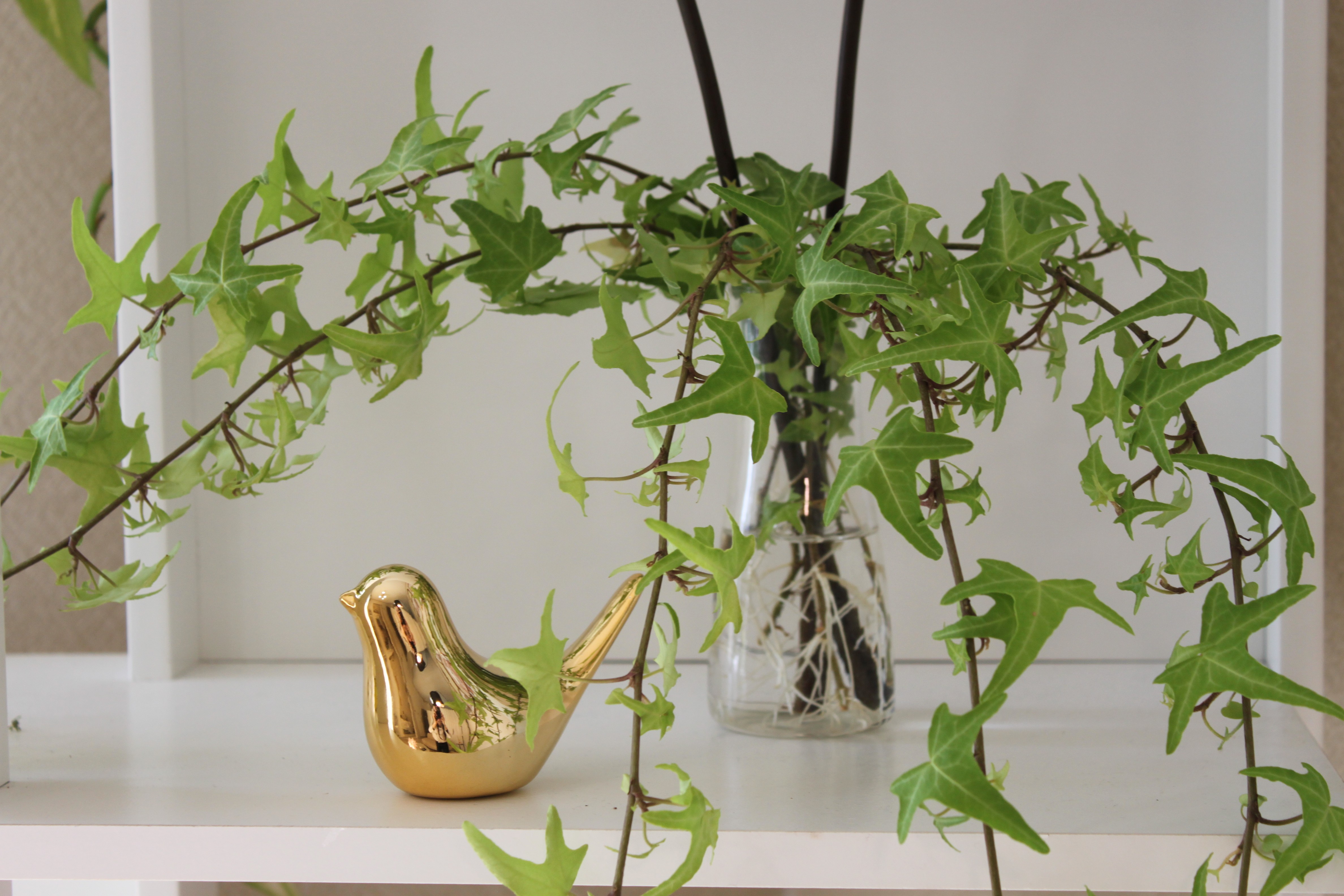 名古屋西尾スキンケアーサロン　ア・ナチュール　インテリア