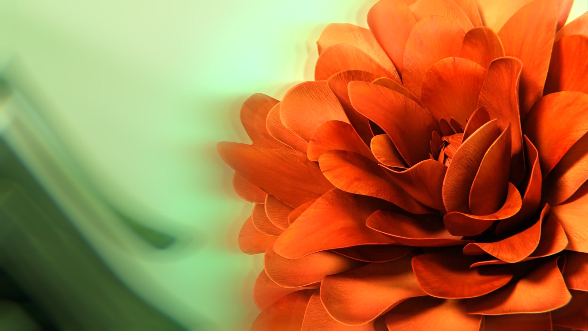 fleur avec de nombreuses pétales orange en 3D