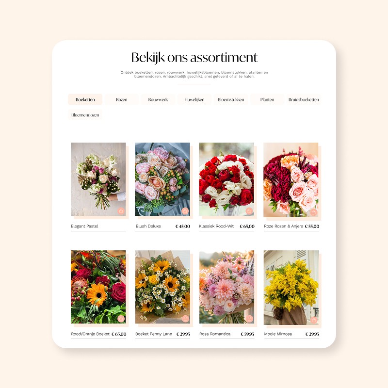 Heph studios portfolio davidshof