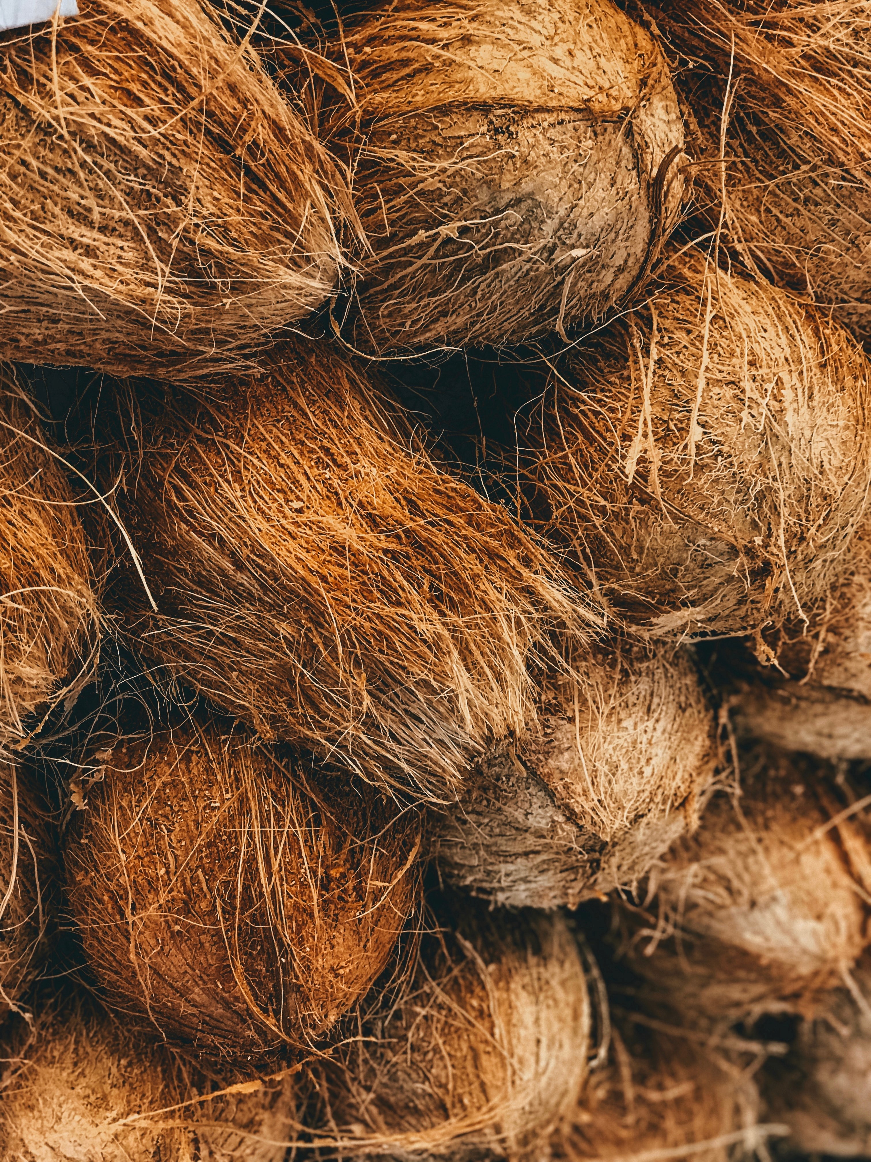 Handwoven Masterpieces