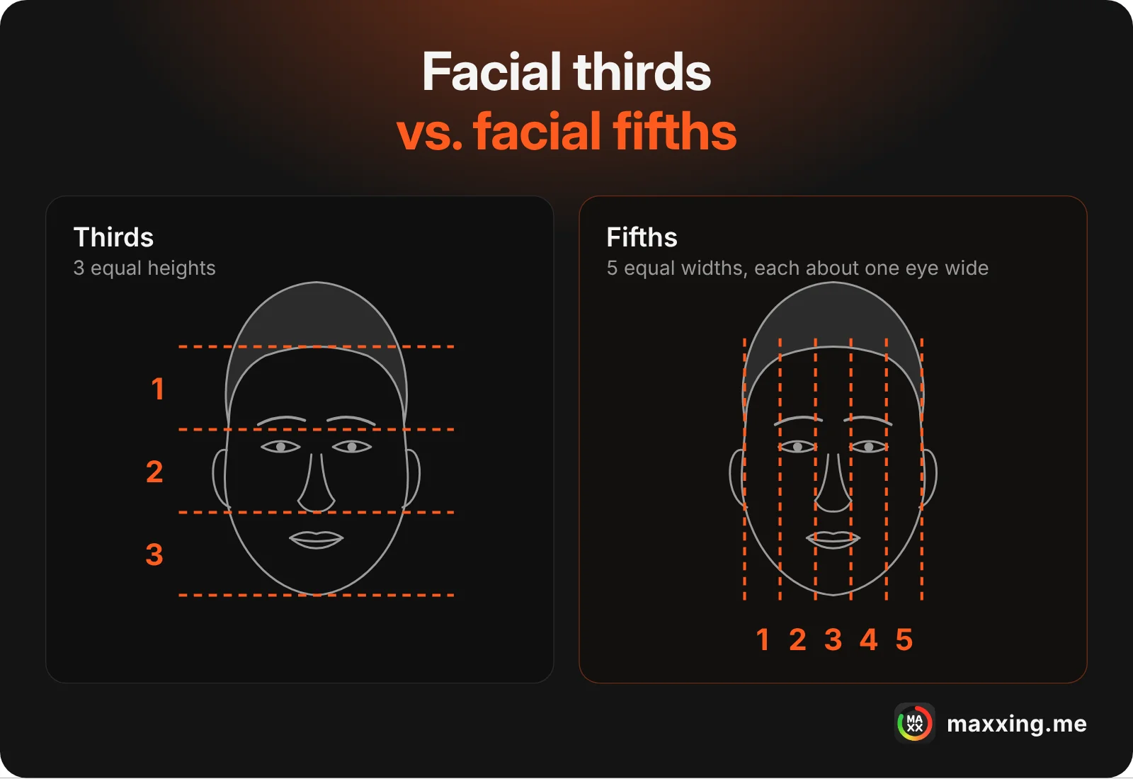 Facial thirds vs. facial fifths: thirds divide the face into three equal heights, fifths into five equal widths, each about one eye wide