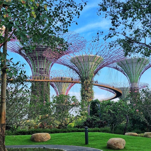Gardens by the Bay: Guided Tour tickets in Singapore