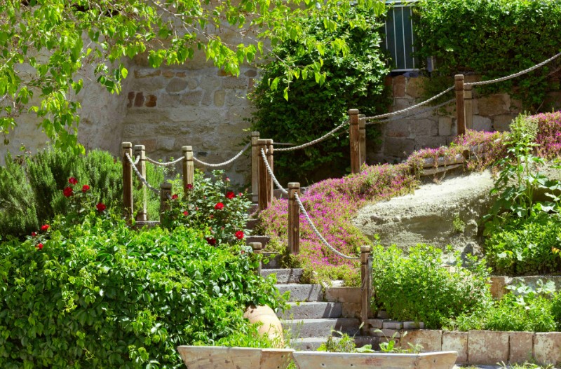 a garden filled with lots of plants and flowers