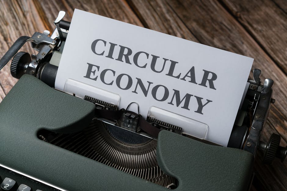 Conceito de economia circular