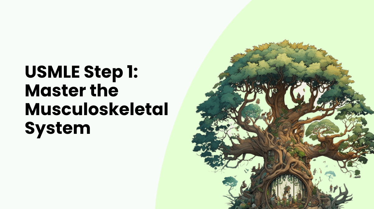 Master the Muscoskeletal System
