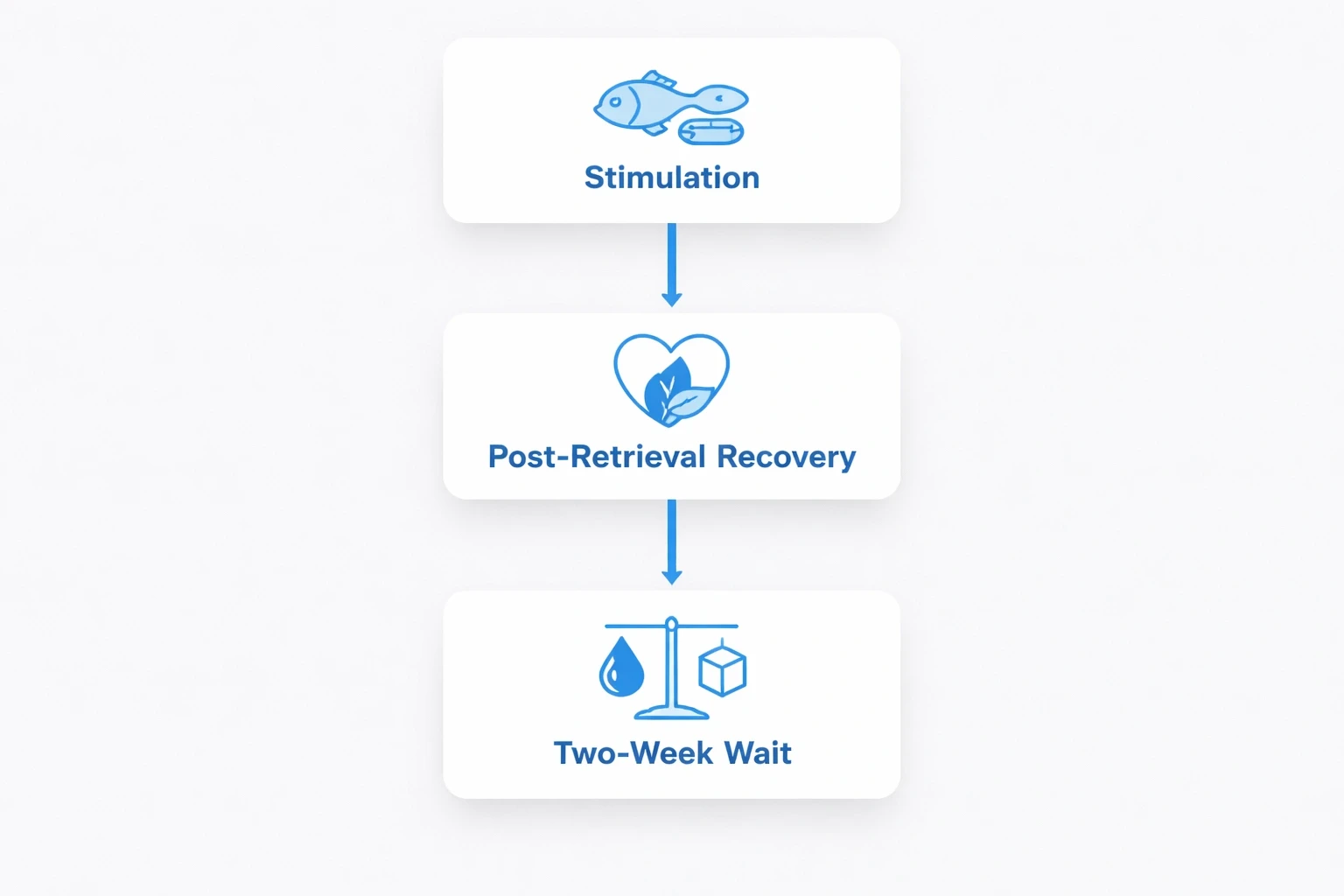 Modern flowchart on a light gray background illustrating the IVF diet chart stages Stimulation, Post‑Retrieval Recovery, and Two‑Week Wait each represented by a rounded card with accent color highlights.