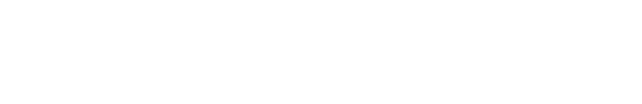 Livohaus Text logo for footer