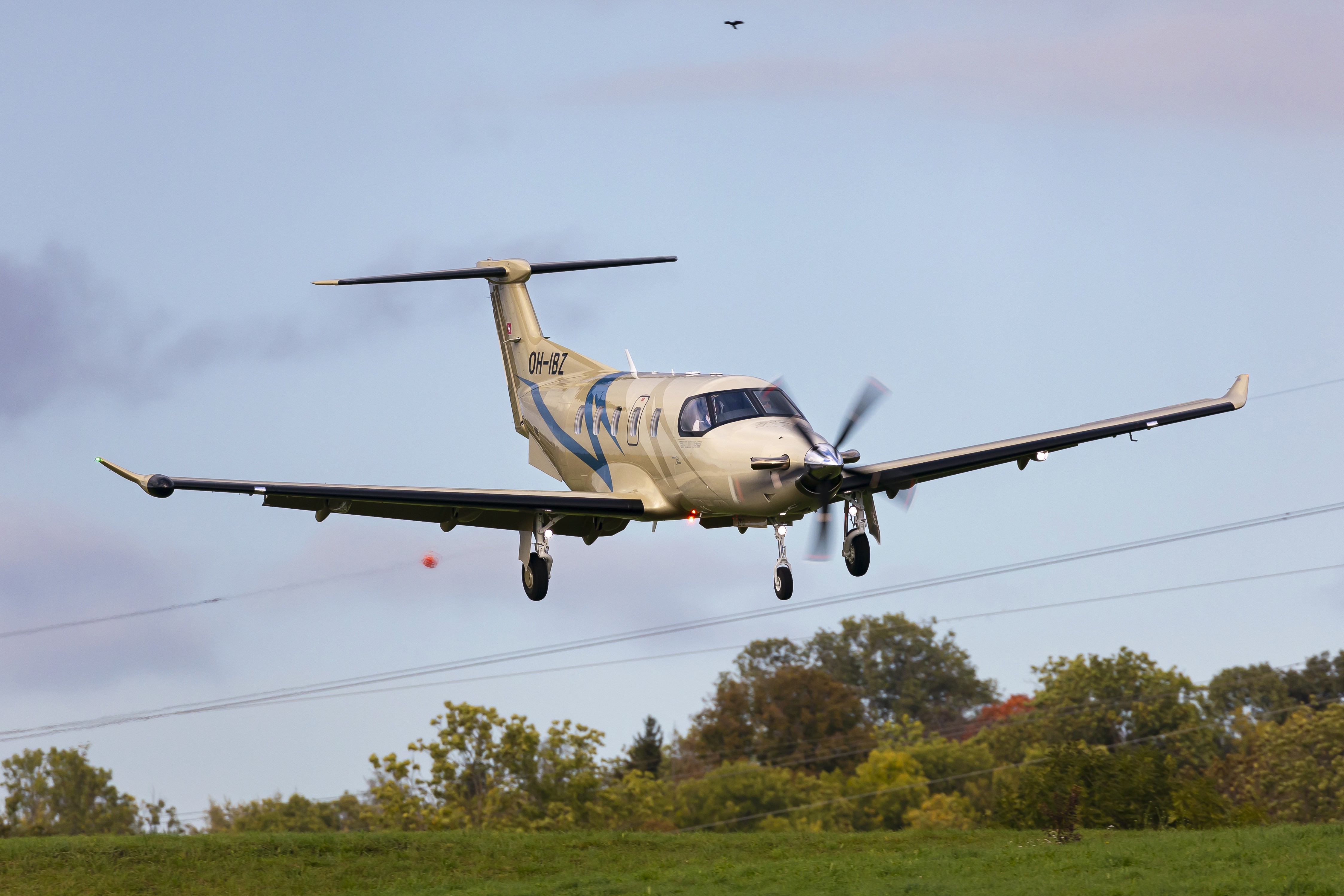 Pilatus PC-12 in the sky