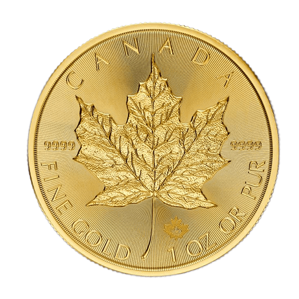 Logo 11 (Background Removed)