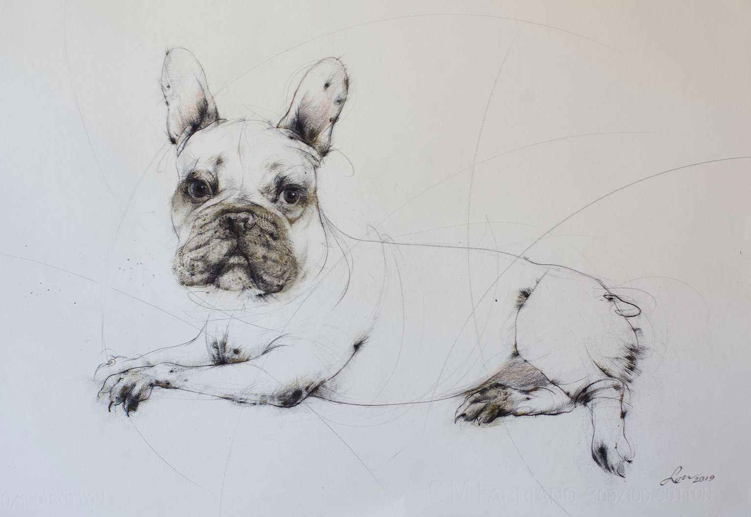 A detailed pencil sketch of a French Bulldog lying down, showcasing its distinctive features such as its large ears, expressive eyes, and wrinkled face, with subtle shading adding depth and character to the illustration.