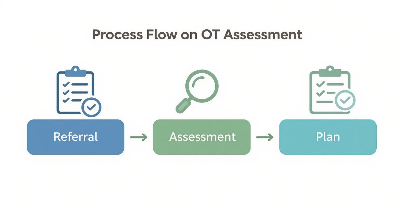 Infographic about assessment for occupational therapy