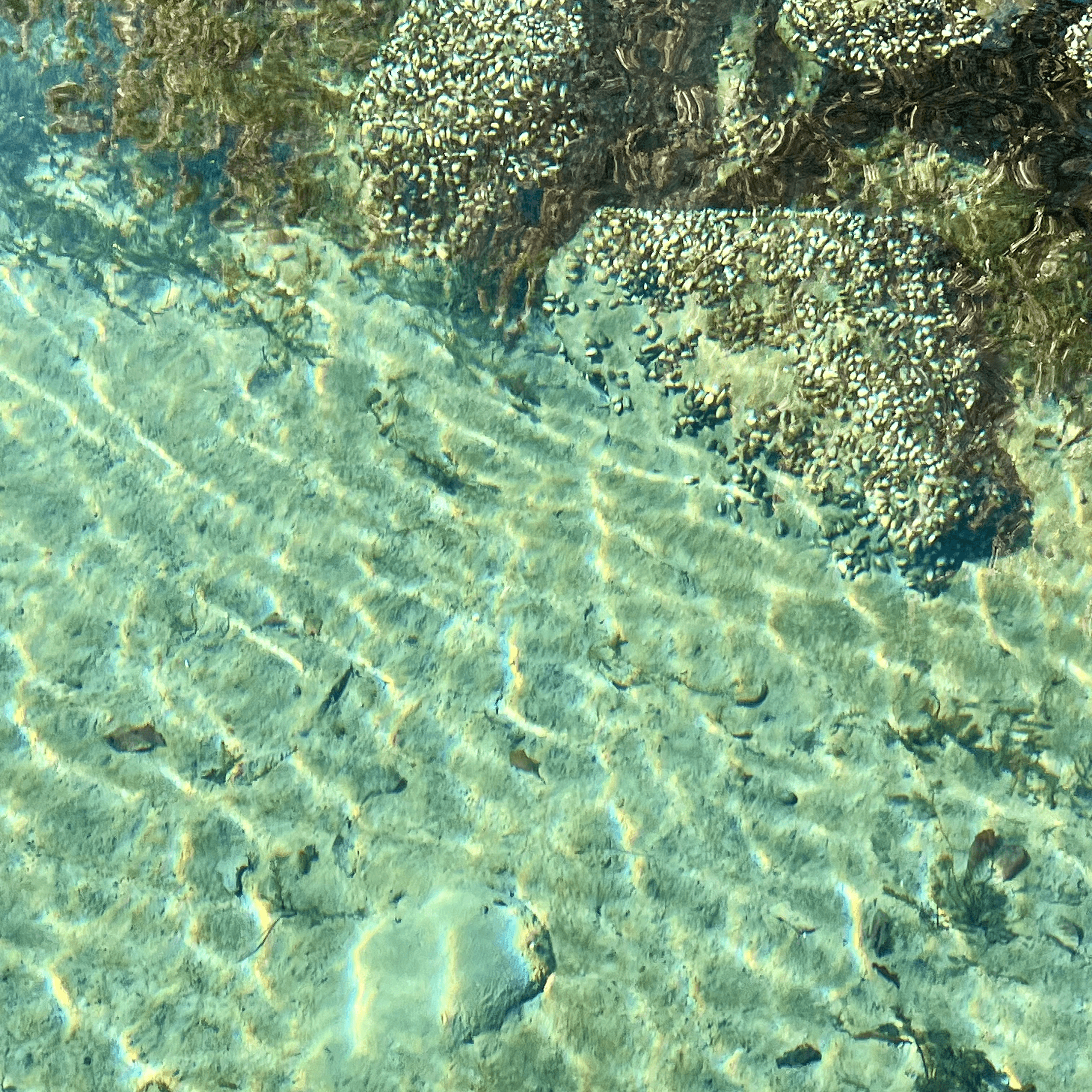 a woman holding an apple