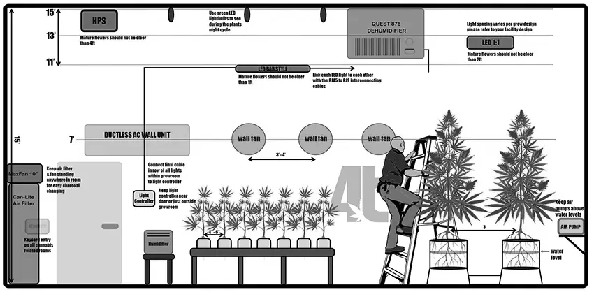 side drawing explaining grow room equipment placement