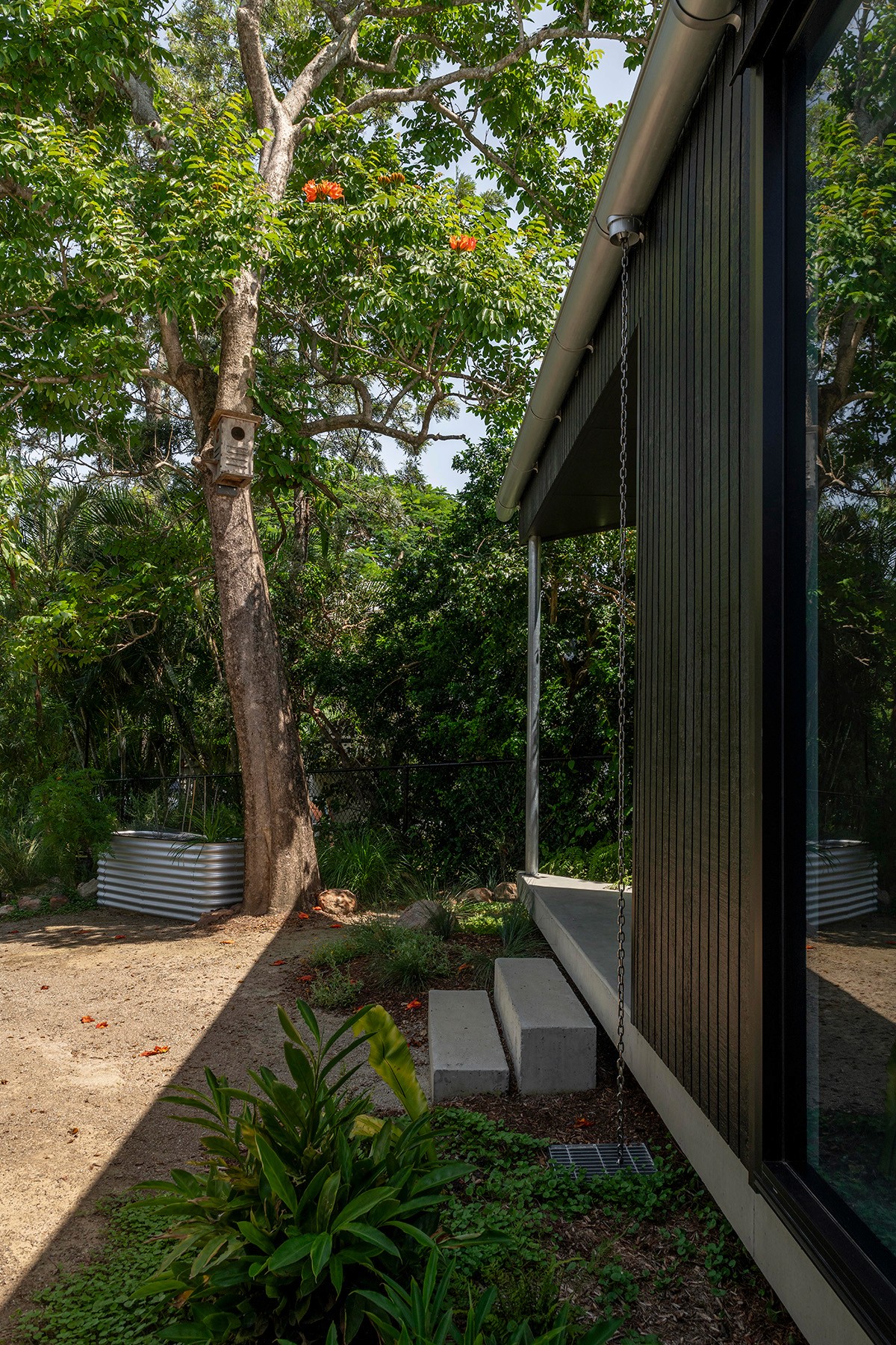Exterior detail at Toohey Forest House showing black-clad pavilion edge, rain chain, and native garden setting.